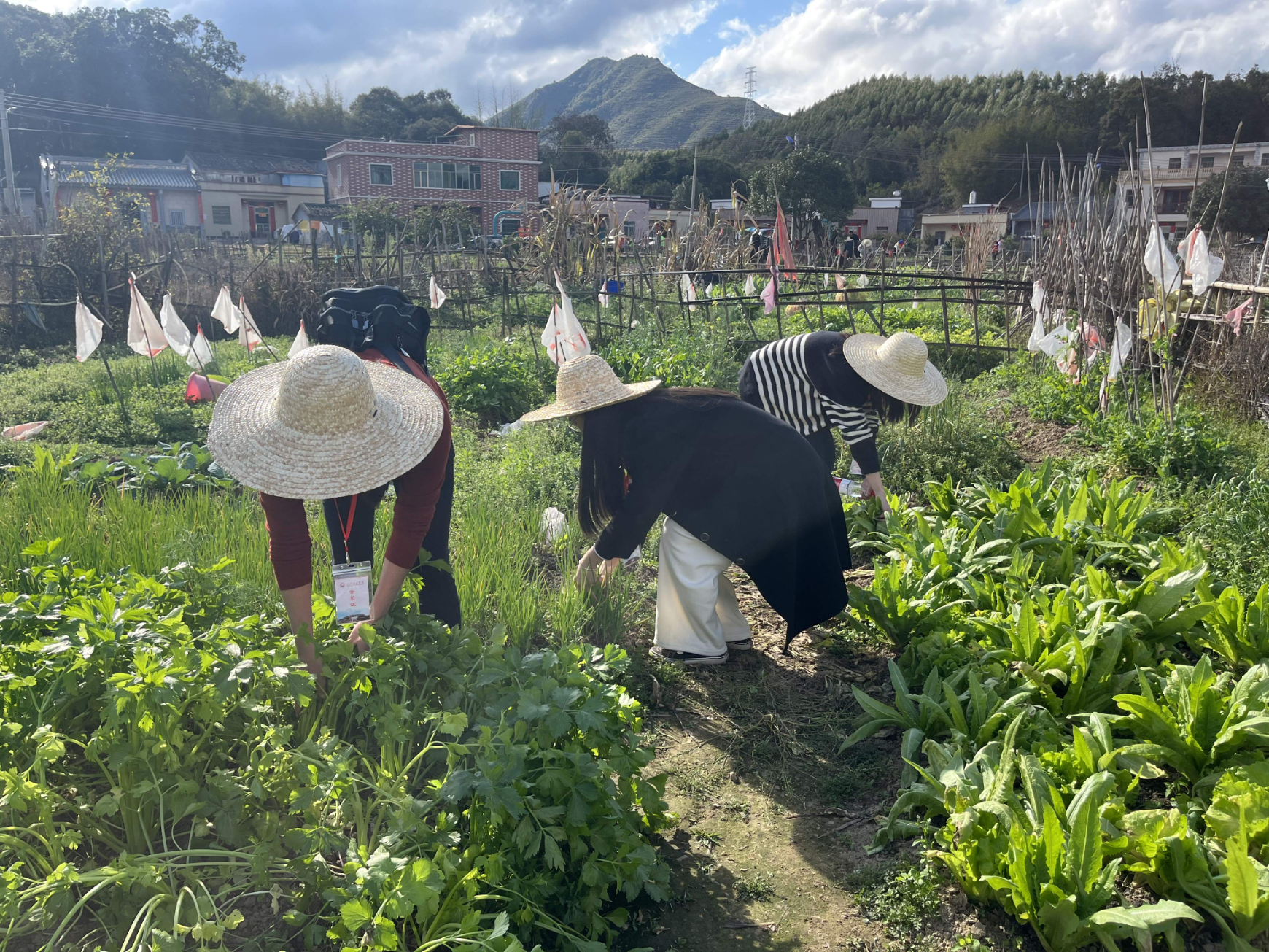 劳动教育